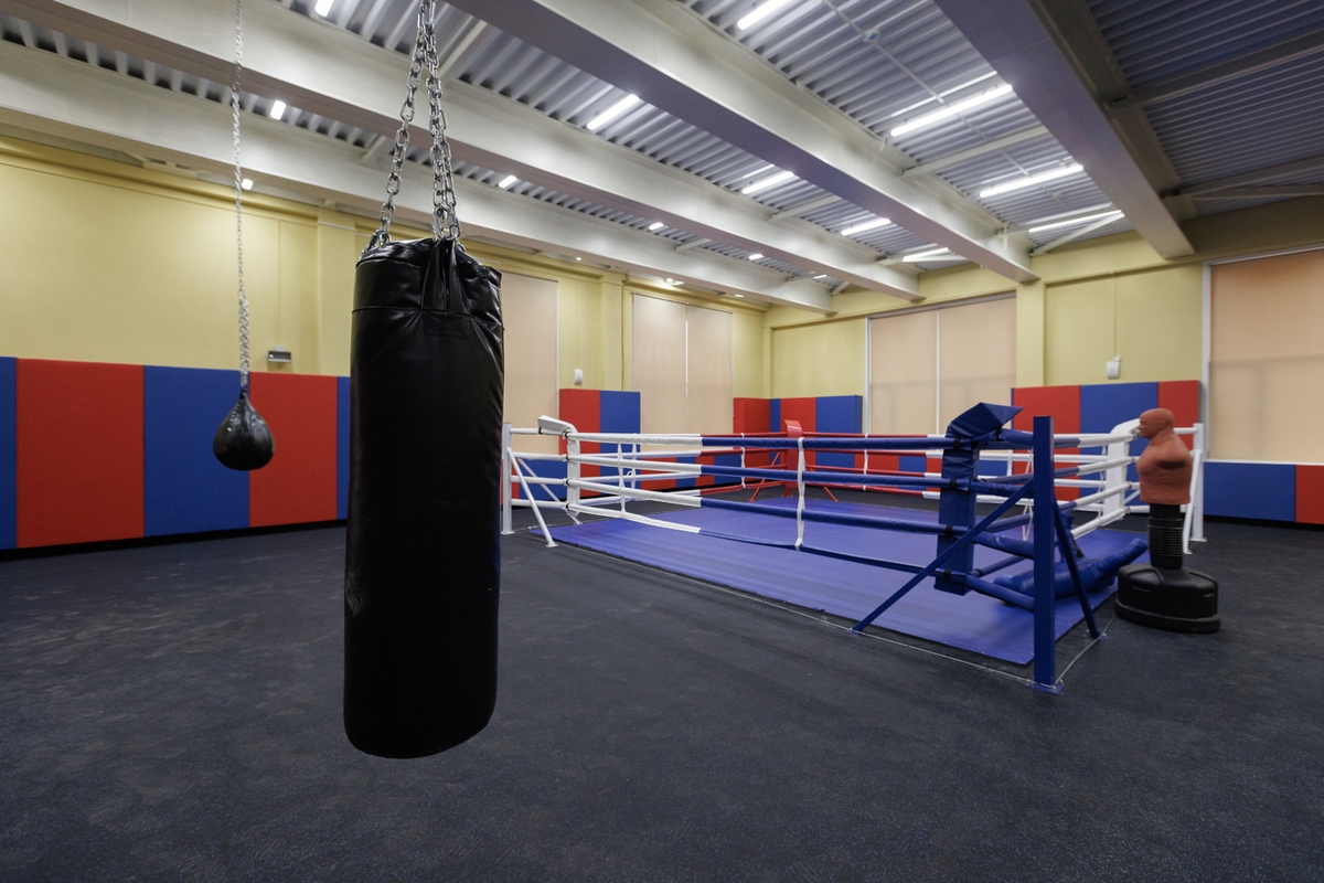 Um russo nocauteou um boxeador espanhol.