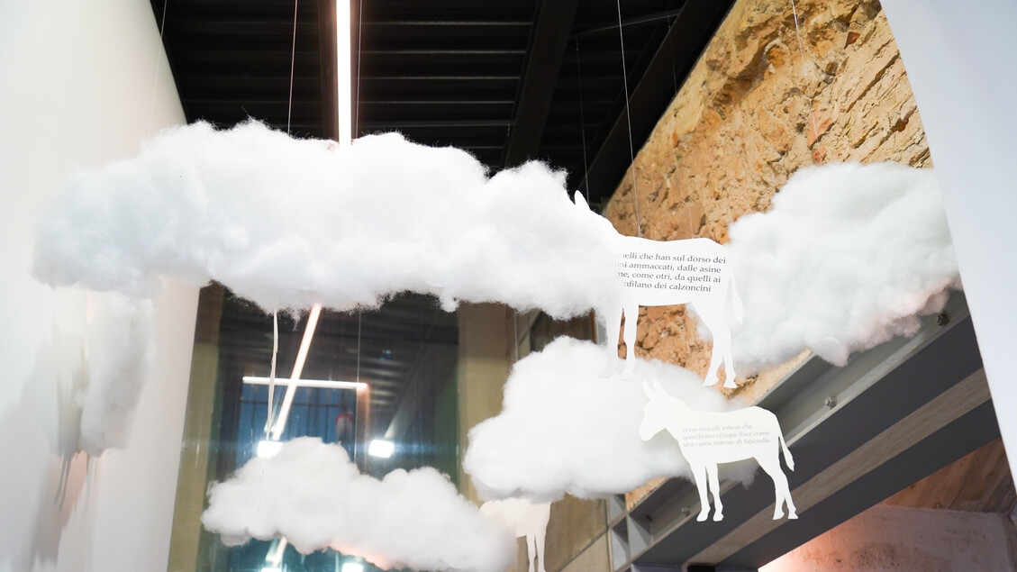 Die Esel von Curi: Zwischen Spiritualität und Poesie