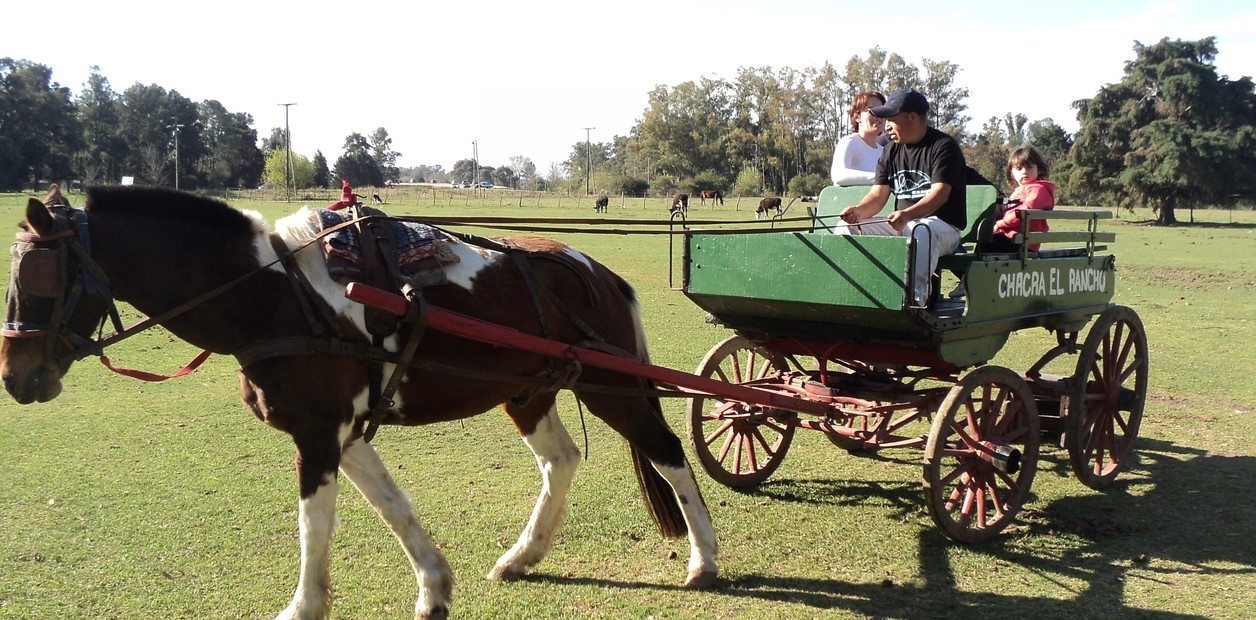Dziesięć restauracji wiejskich z atrakcjami dla dorosłych i dzieci