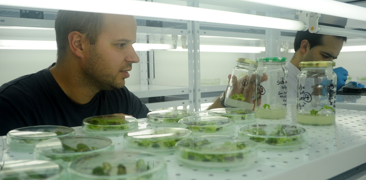 Kluczowe powiązanie między badaniami naukowymi, innowacją i produkcją