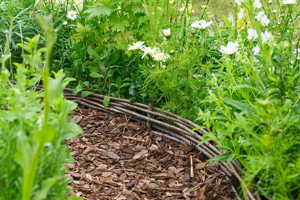 These are 11 smart things you can do with your pruning waste