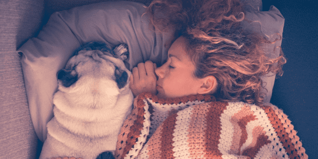 What about those who sleep with their pets?