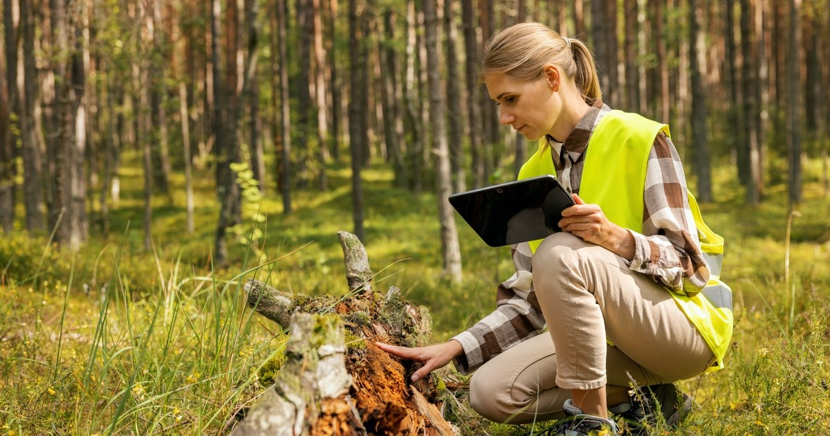Германия является ведущим мировым центром исследований в области сельскохозяйственных технологий.
